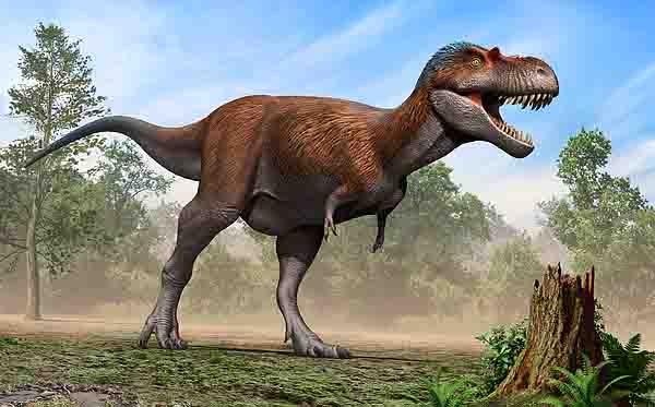 Albertosaurus