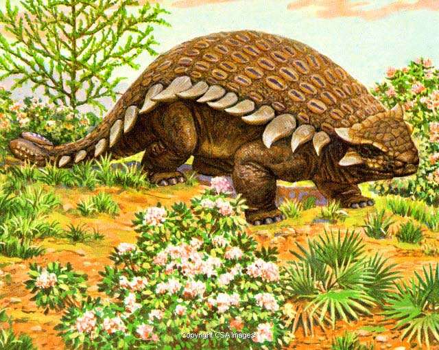 Ankylosaurus