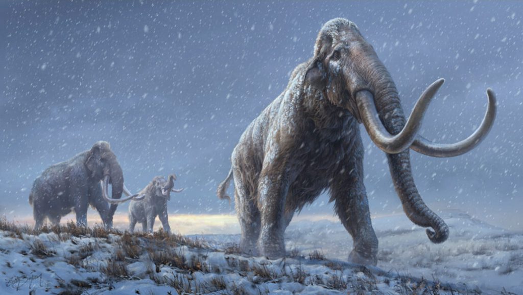 Salah Satu Penyebab Kepunahan Mammoth