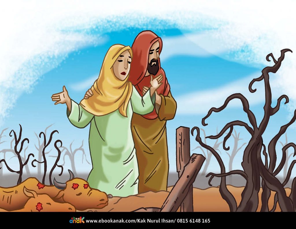 Ujian kesabaran nabi ayyub