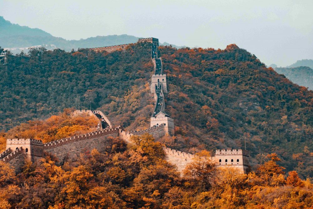 cina