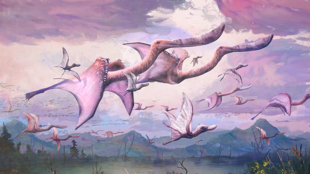 pterosaurus