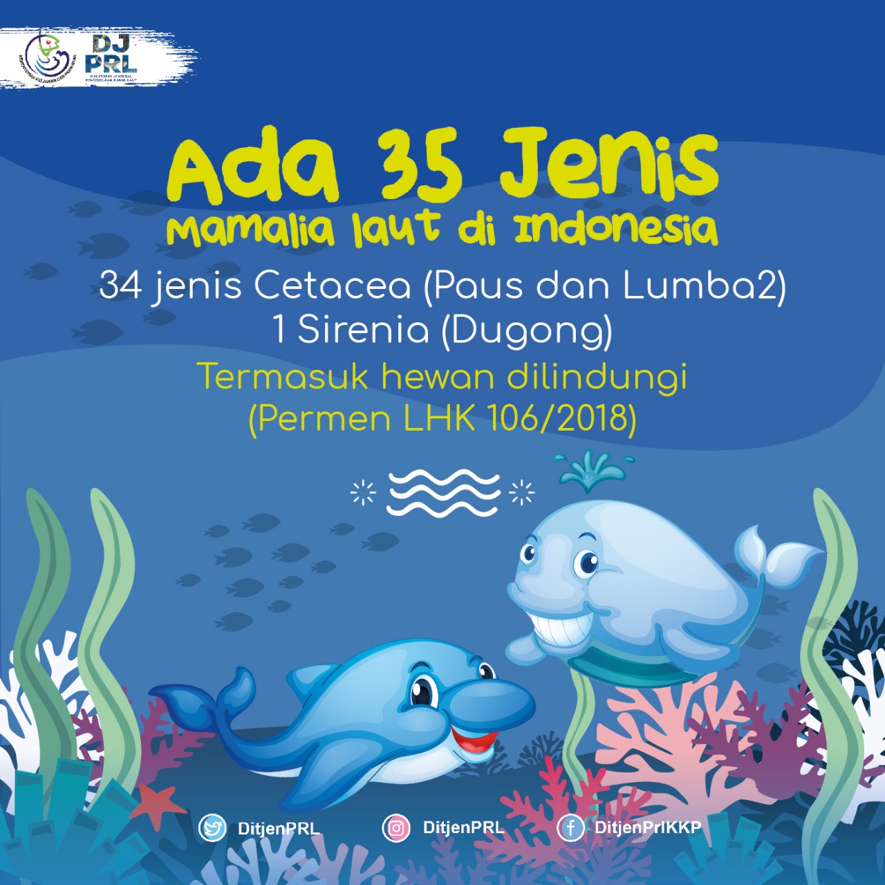 Ada 35 Jenis Mamalia Laut di Indonesia