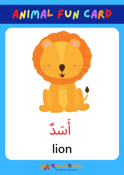 Animal Fun Card