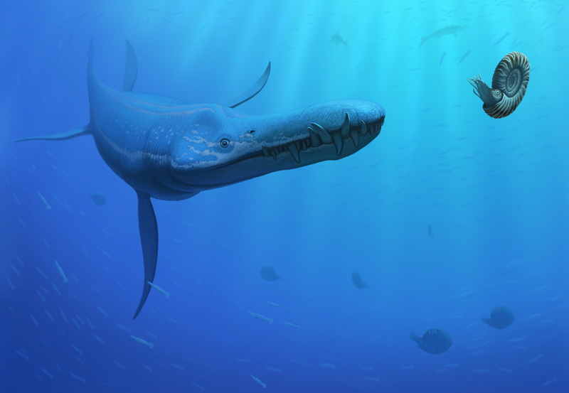 Liopleurodon (Andrey Atuchin, newdinosaurs.com)
