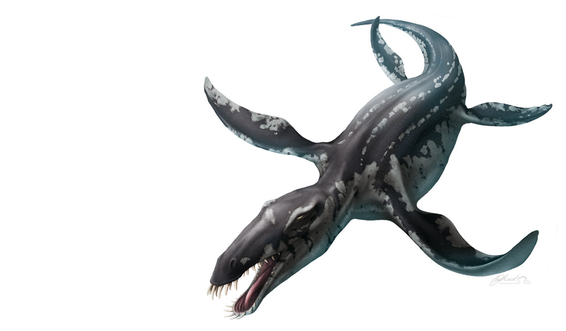 Liopleurodon (Gambar Leitplankenmonster, newdinosaurs.com)