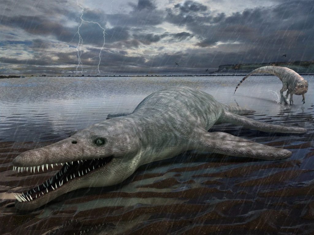 Liopleurodon (Gambar Matthew E Dempsey, newdinosaurs.com)
