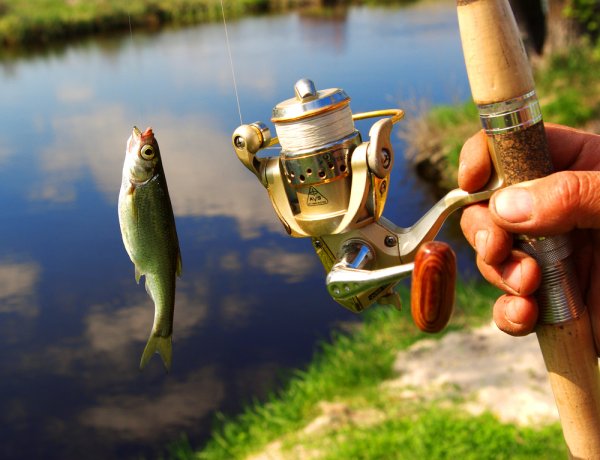 Memancing ikan di kolam (Foto bp-guide.id)