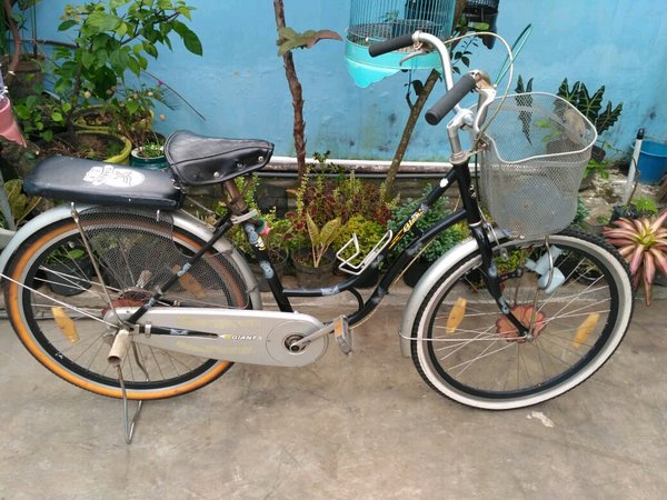 Rumah No. 6 (Foto bukalapak.com)