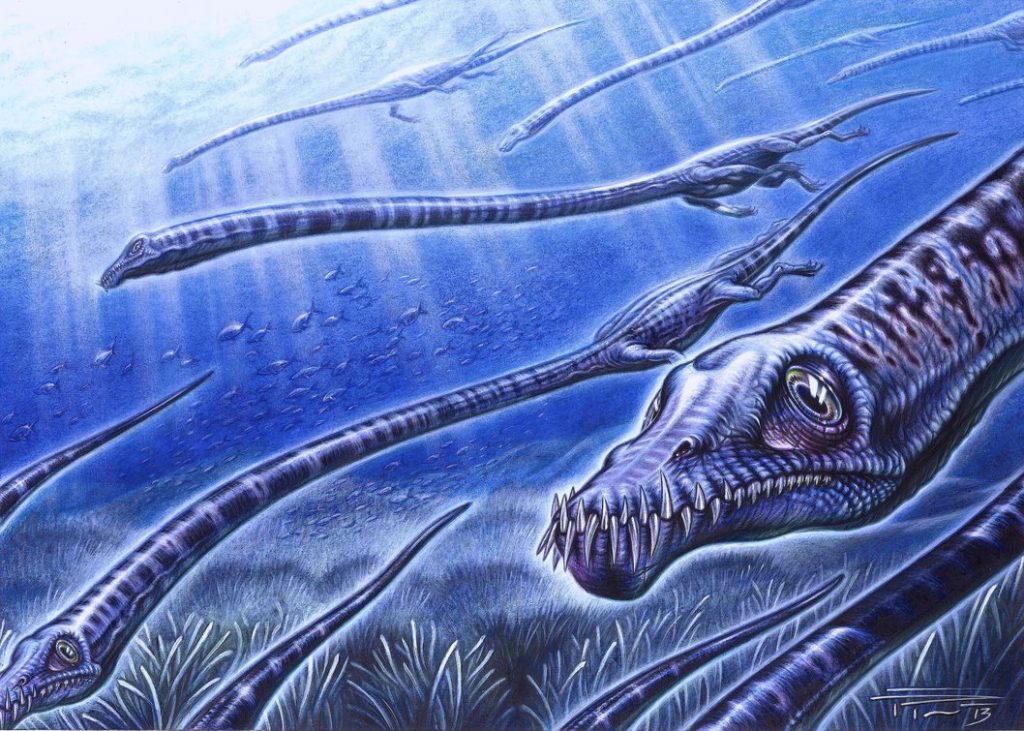 Tanystropheus (Gambar James Kuether, newdinosaurs.com)