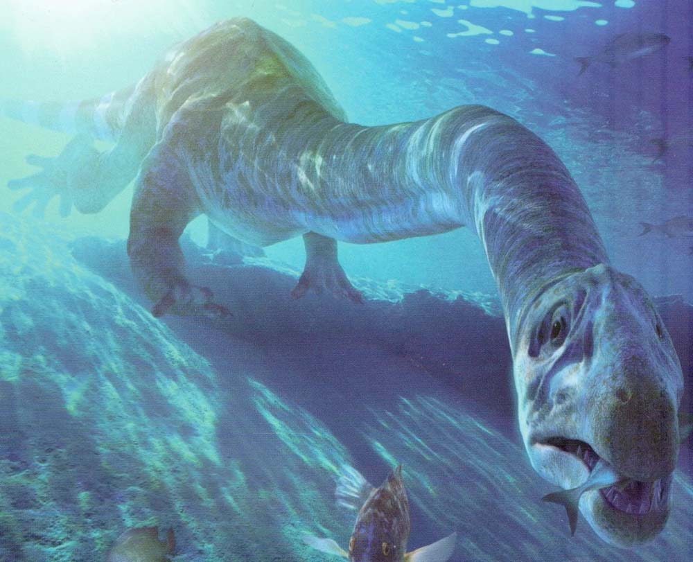 Tanystropheus (Gambar fandom.com).jpg