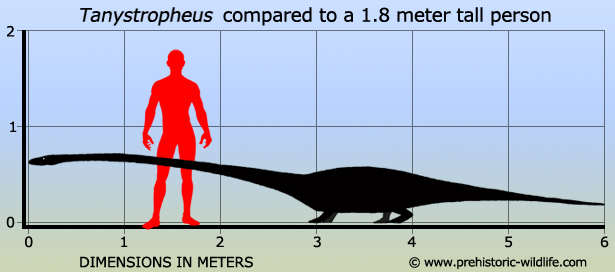 Tanystropheus (Gambar prehistoric-wildlife.com)