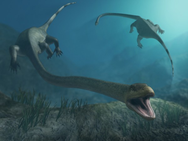 Tanystropheus merupakan reptile darat berukuran 6 meter. (Gambar listverse.wpengine.netdna-cdn.com)