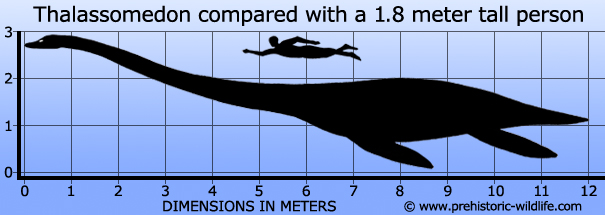 Thalassomedon (Gambar prehistoric-wildlife.com)