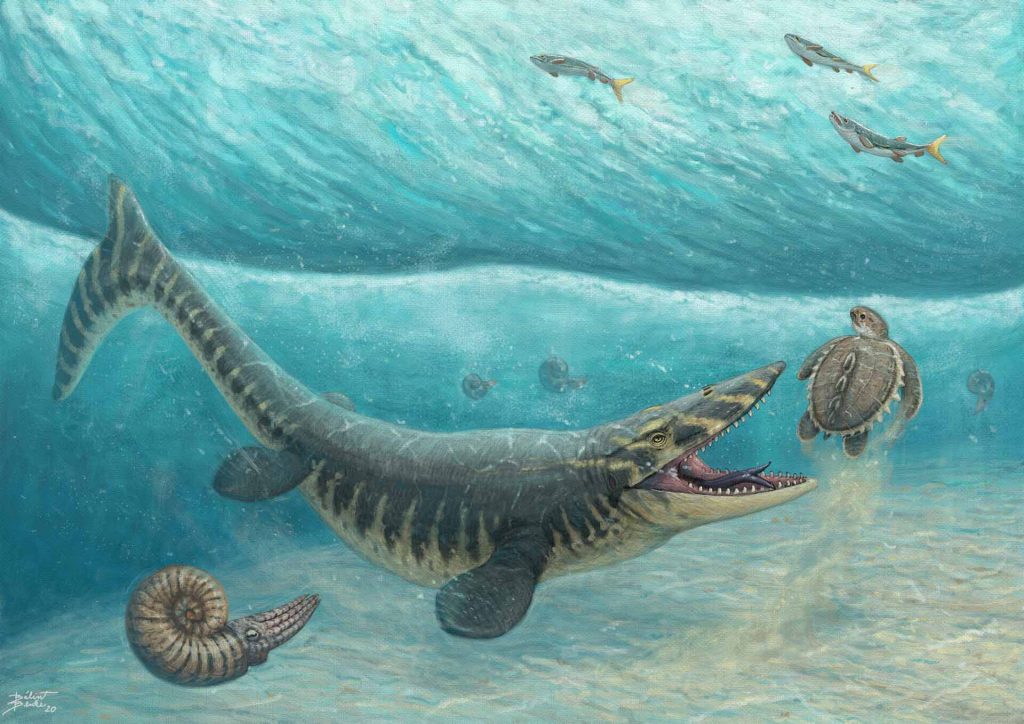 Tylosaurus (Gambar balint.artstation.com)