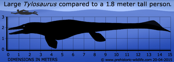 Tylosaurus (Gambar prehistoric-wildlife.com)