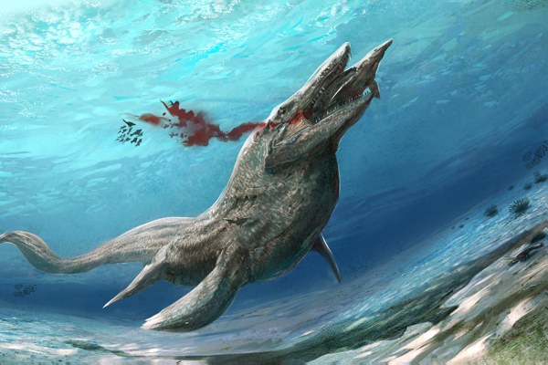 Tylosaurus merupakan kadal laut purba. (Gambar listverse.wpengine.netdna-cdn.com)