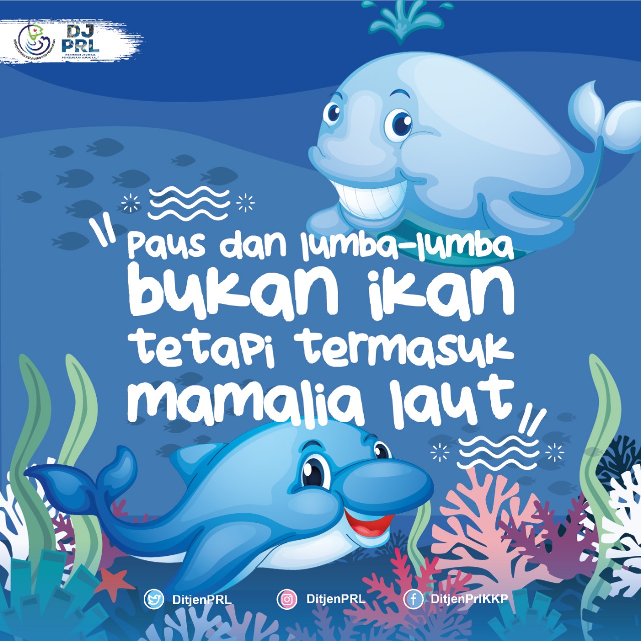 Lumba-Lumba dan Paus Termasuk Mamalia Laut