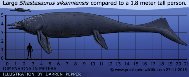 shastasaurus (prehistoric-wildlife.com)