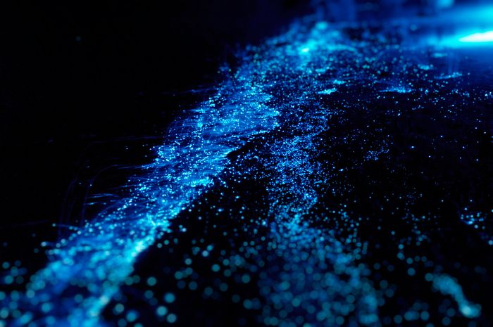 Bioluminesensi di Pulau Maladewa atau Maldives (Foto PawelG Photo, iStockphoto)