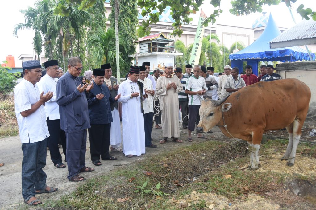 Doa menyembelih hewan qurban (Foto bengkaliskab.go.id)
