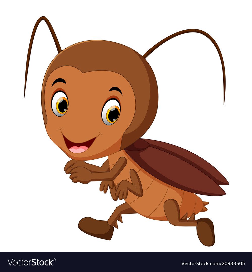 Kecoak bisa berlari sangat cepat (Gambar VectorStock)