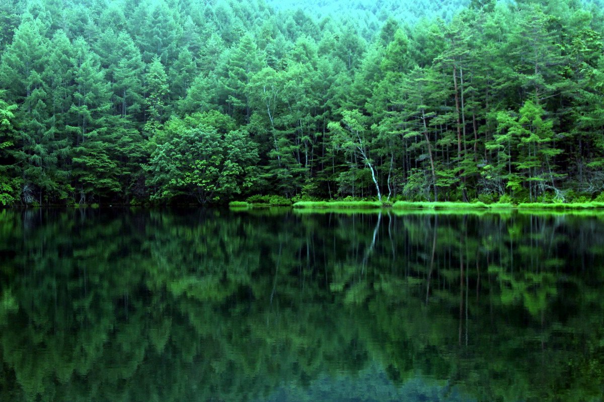Kolam Mishakaike atau Mishaka Pond. (Foto Twitter)