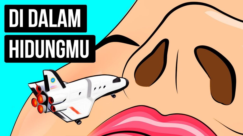 Perjalanan di Dalam Hidung untuk Mengetahui Proses Membau (Gambar Youtube Sisi Terang)