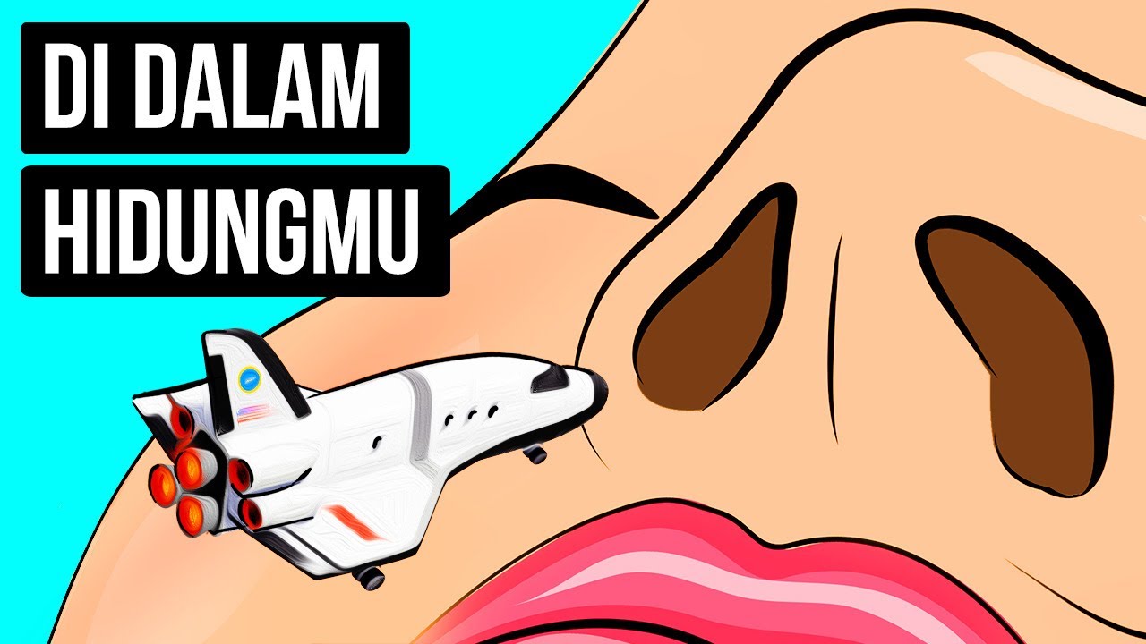 Perjalanan di Dalam Hidung untuk Mengetahui Proses Membau (Gambar Youtube Sisi Terang)