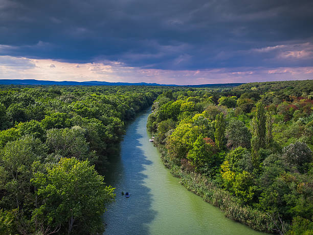cekungan sungai amazon. (Foto istockphoto.com)
