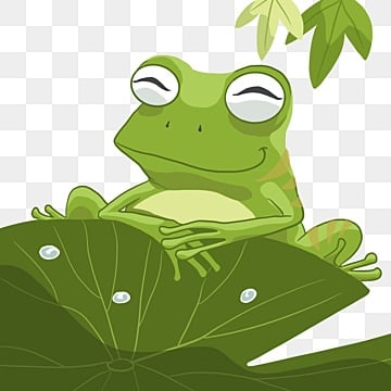 gadis katak