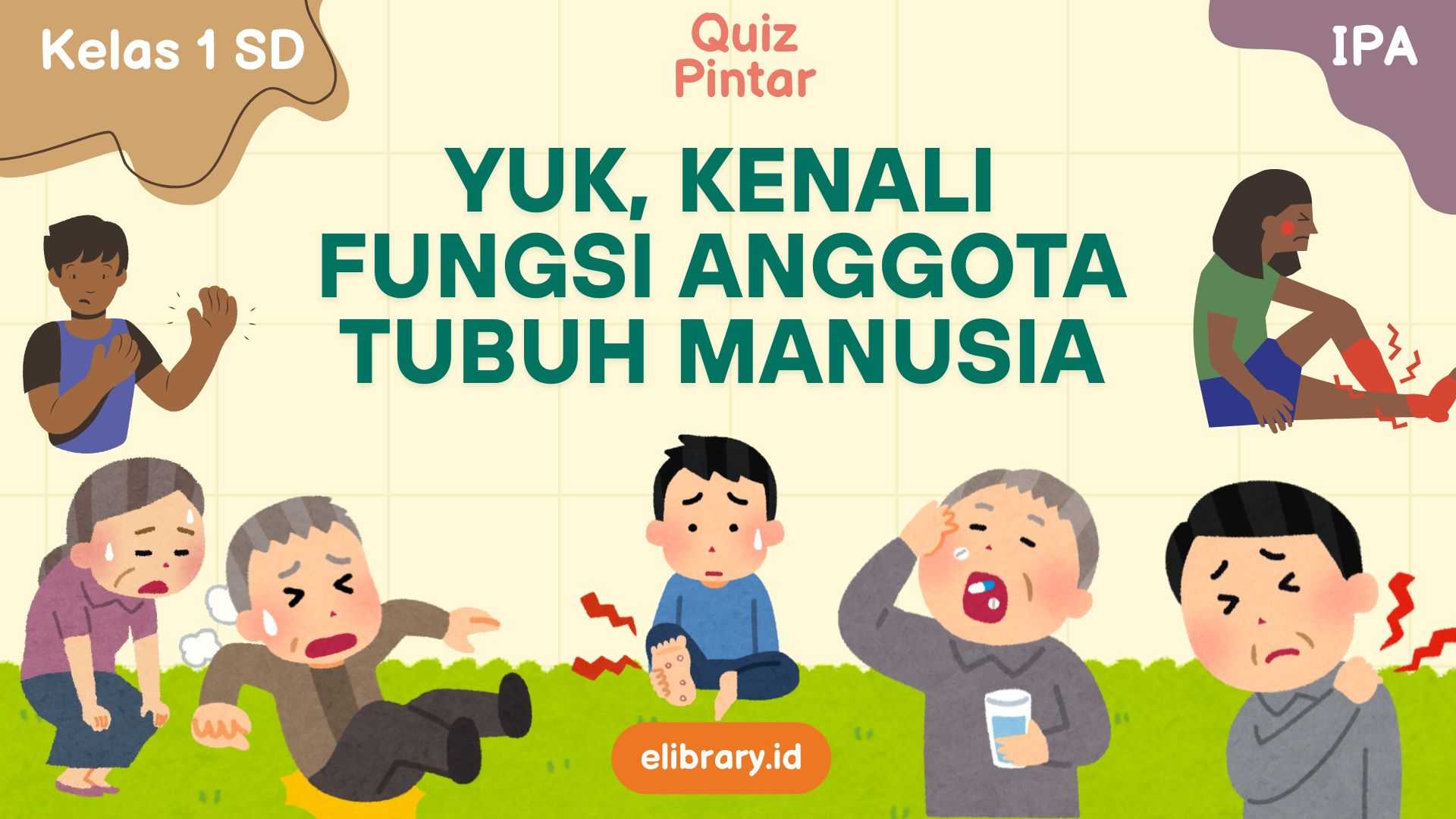 Yuk, Kenali Fungsi Anggota Tubuh Manusia_11zon
