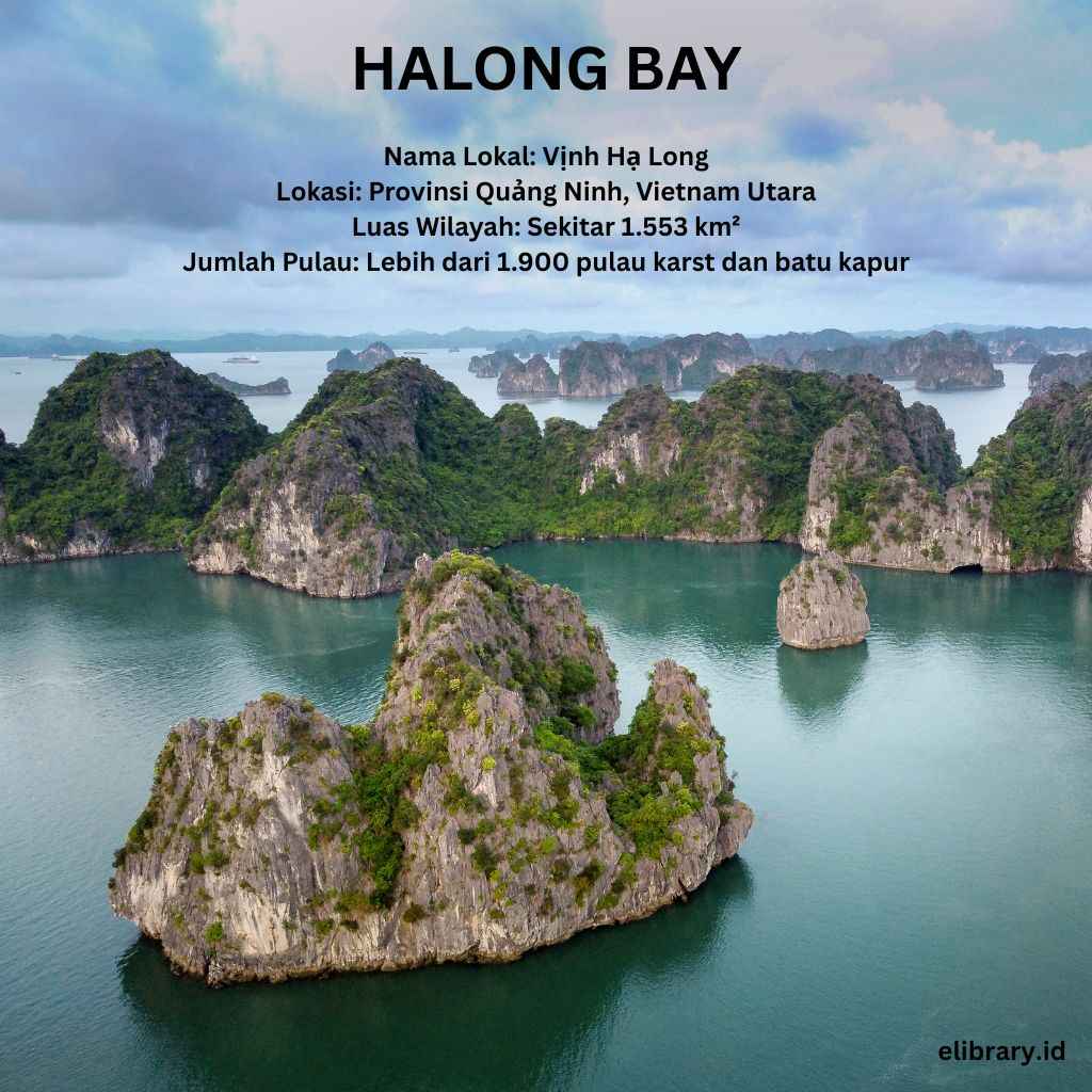 Halong bay sebuah pulau batu kapur di Vietnam (elibrary.id)