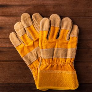 Gloves