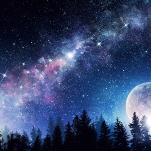 Good night 