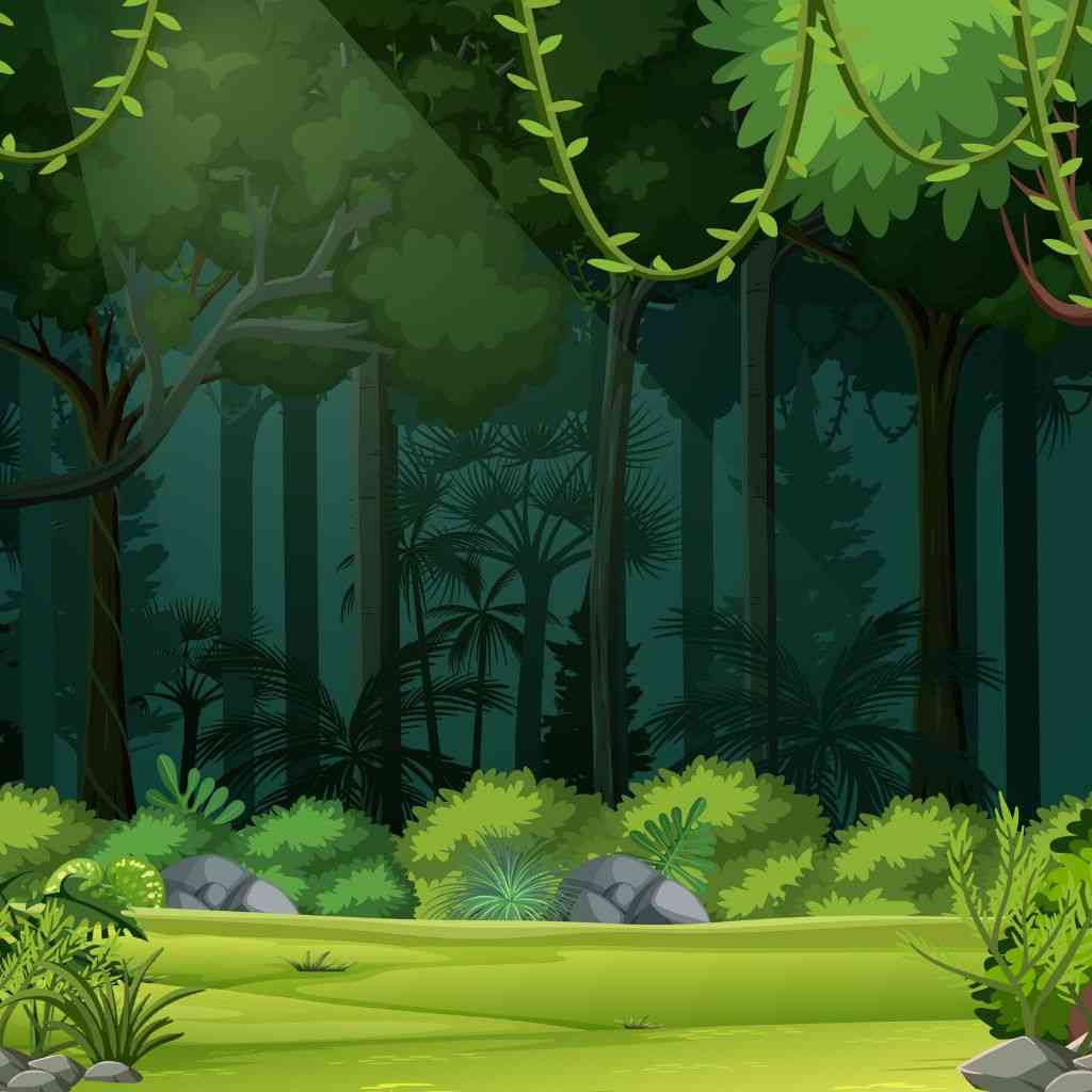 Hutan