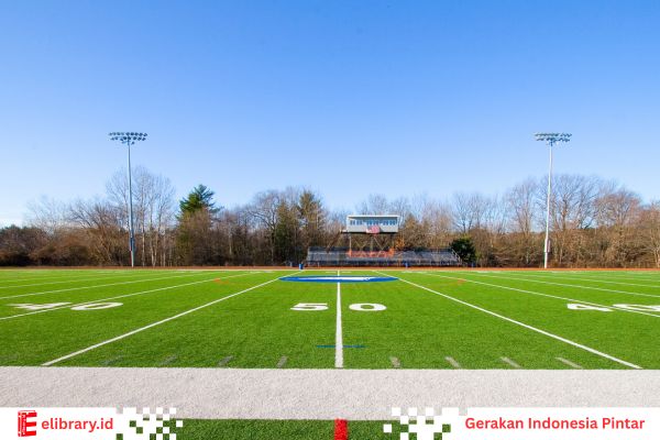 Last summer, I had the opportunity to work as an intern at a local sports club.
