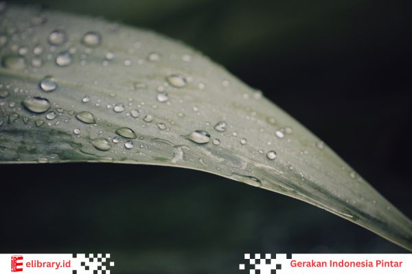 Nabi Muhammad ﷺ berdoa kepada Allah ketika hujan deras turun penuh rahmat.