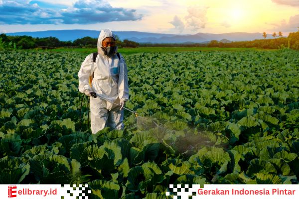 Petani menggunakan bakteri Rhizobium untuk kesuburan tanamannya