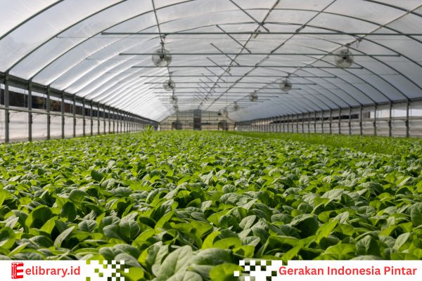 Seorang petani organic ingin meningkatkan kesuburan tanah dengan menggunakan bakteri pengikat nitrogen
