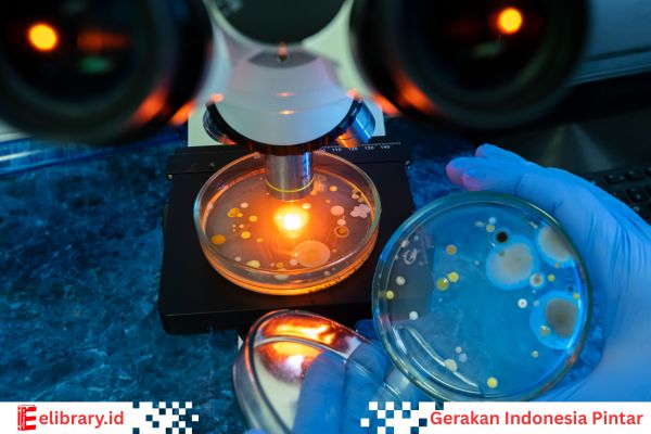 Staphylokokus adalah bakteri berbentuk bulat (kokus)