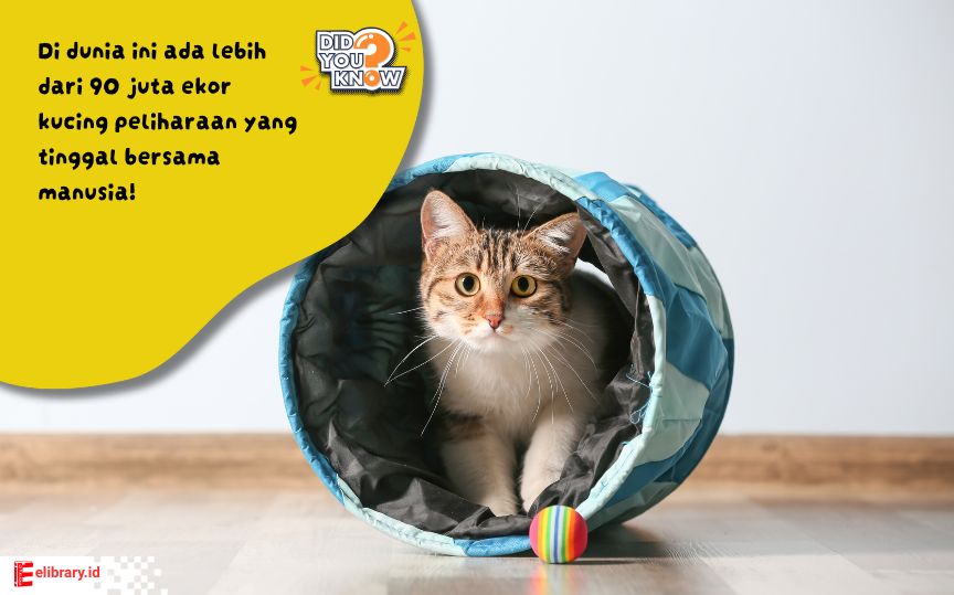 Dari rumah sederhana di desa, hingga istana megah di kota, kucing telah menjadi sahabat setia manusia selama ribuan tahun. 