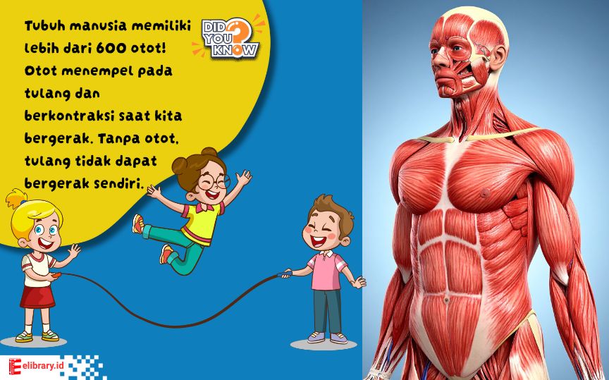 Anak berlari dan bergerak aktif di taman.