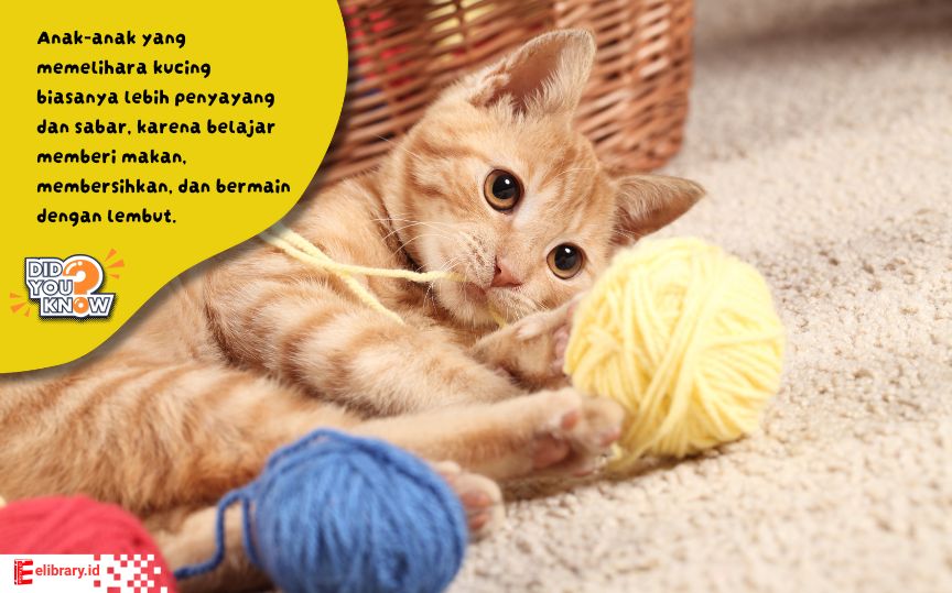 Kucing disebut hewan yang lucu karena punya wajah bulat, mata besar, dan ekspresi lembut.