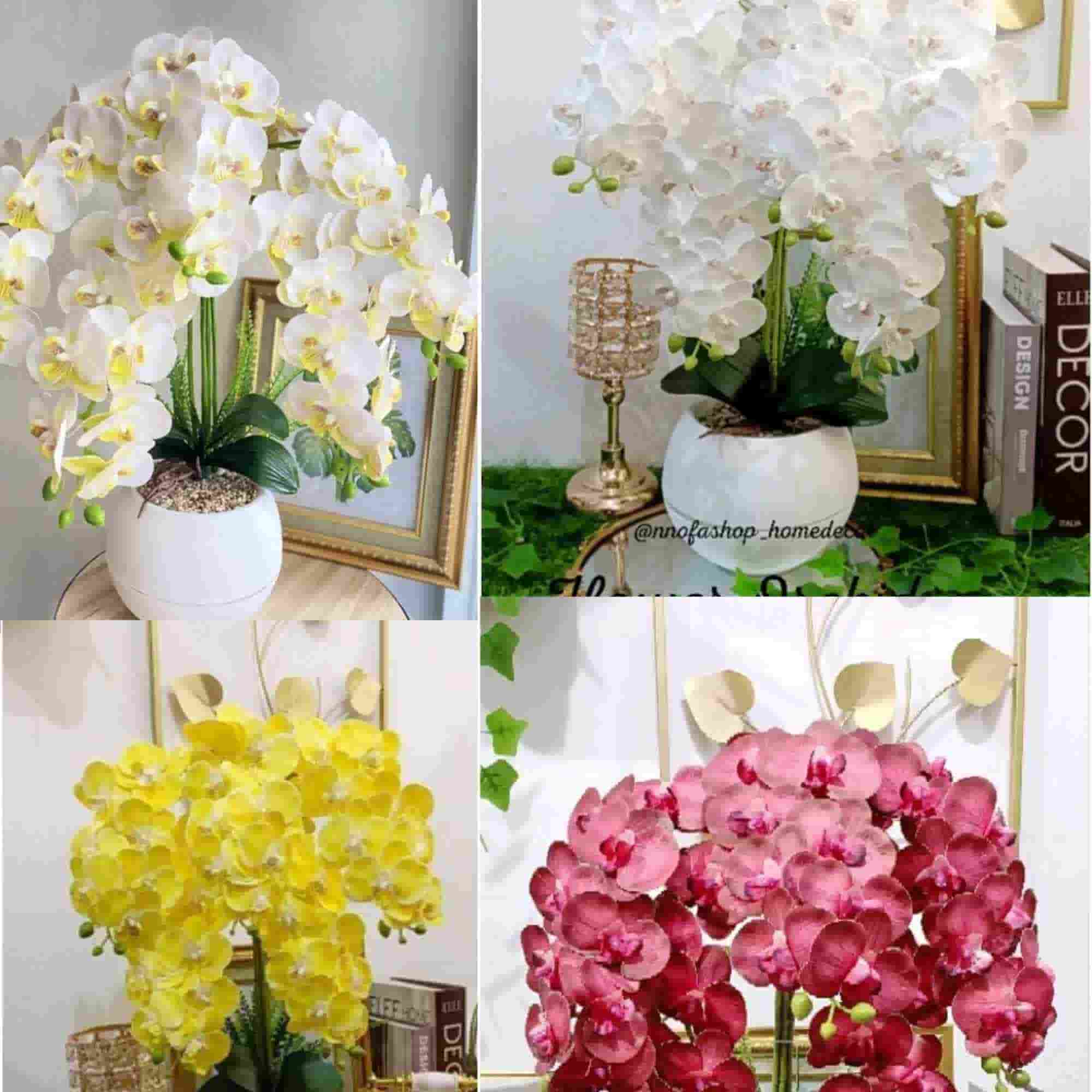 Bunga Anggrek Shopee